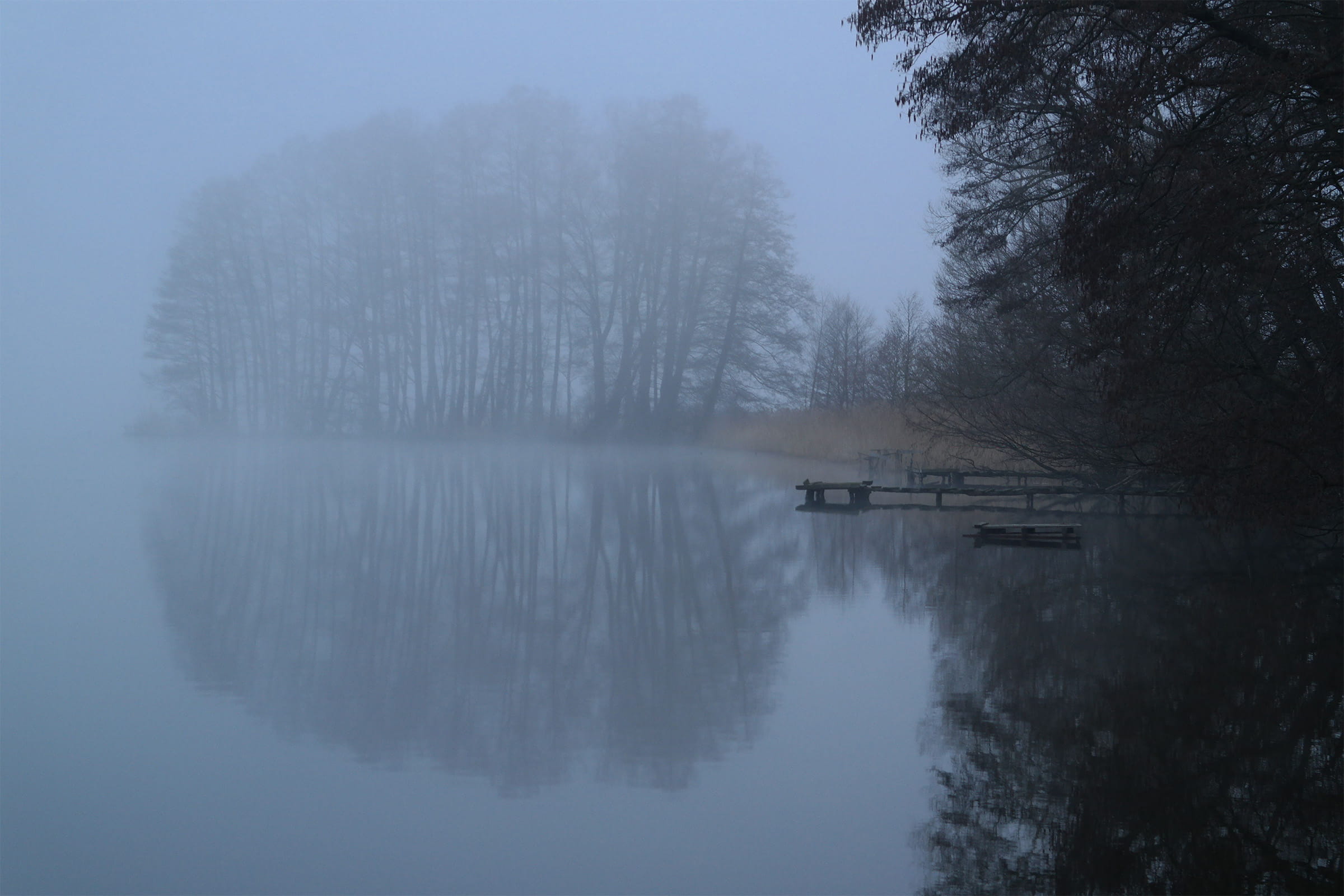 Spokojne jezioro o świcie z lekką mgłą nad wodą