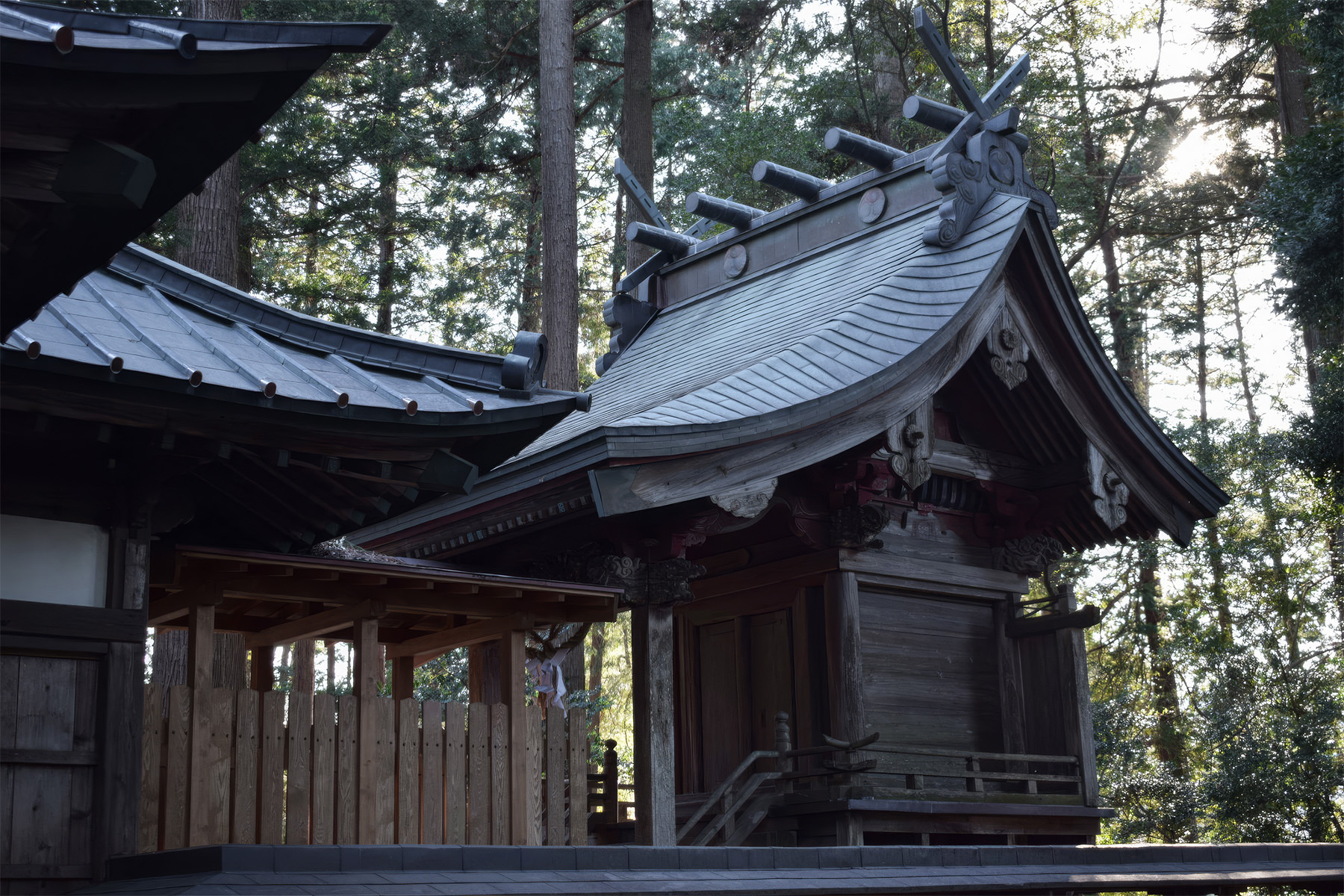 Drewniana świątynia w Japonii otoczona wysokimi drzewami